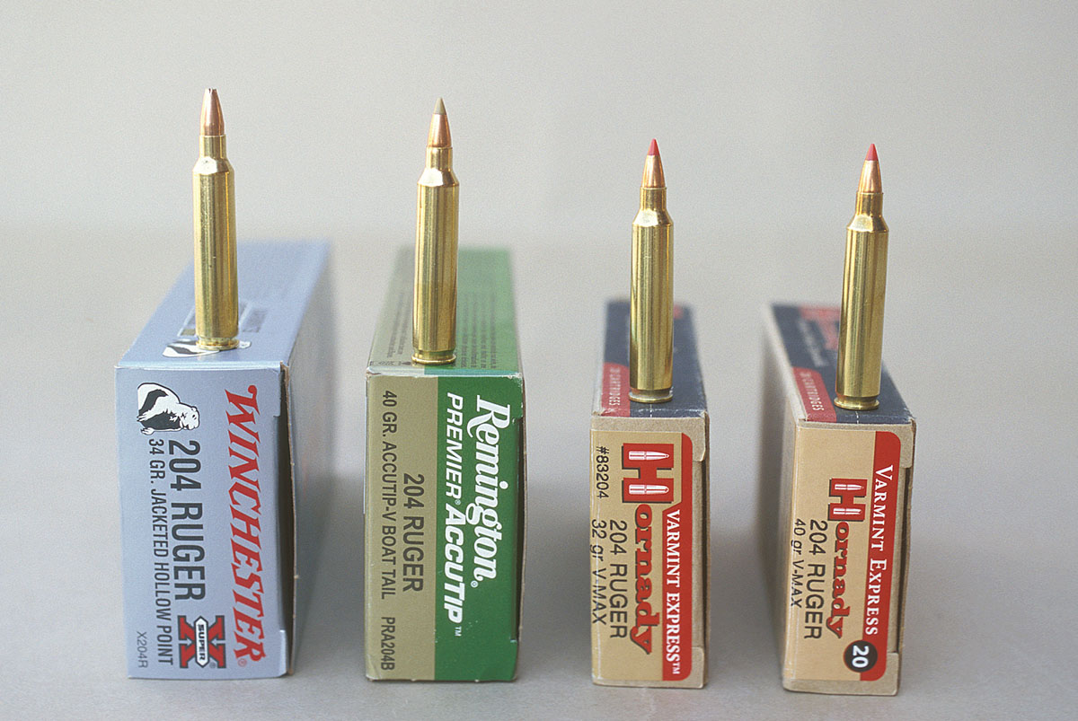 Hornady, Winchester and Remington are offering loads for the .204 Ruger.